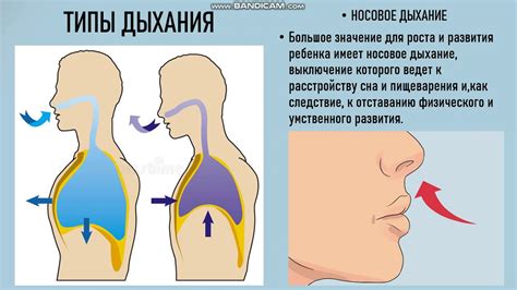 Сонаправленные нарушения дыхания