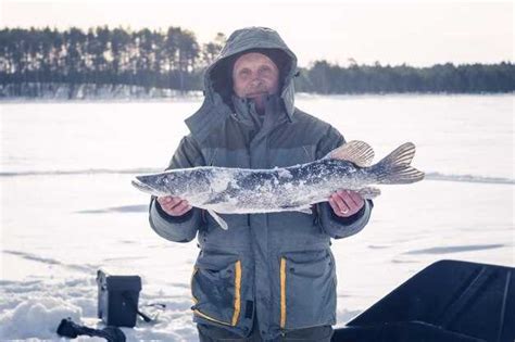 Сонник о черной рыбе в воде: загадочное значение снов