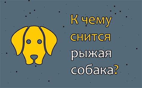 Сон о собаке: разные толкования