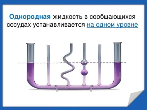 Сообщающиеся сосуды и их роль в процессе атеросклероза