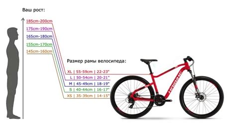 Соотношение размеров колес и рамы велосипеда