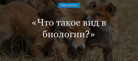 Сорта в биологии: определение и простое понятие