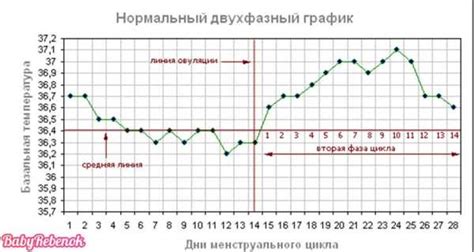 Составление графика благоприятных дней для зачатия