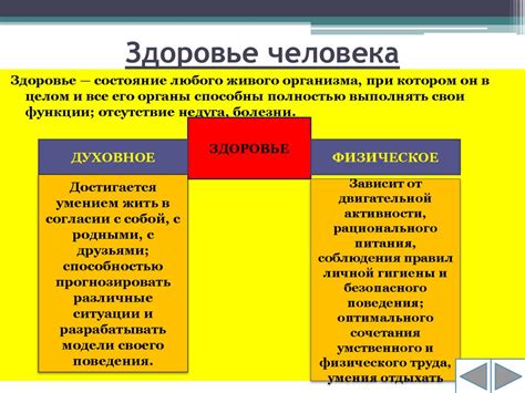 Составляющие штата и его цель