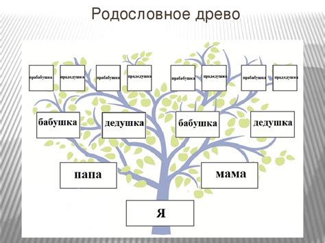 Составьте родословную своей семьи для наглядного представления своего происхождения