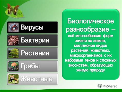 Состав и биологическое разнообразие