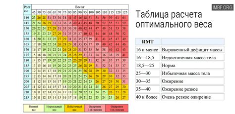 Сохранение здорового веса и поддержание оптимального индекса массы тела