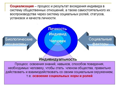 Социализация и создание новых связей