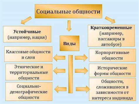 Социальная структура и поведение