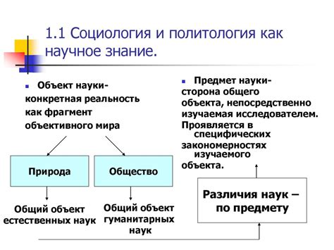 Социология и политология: области применения