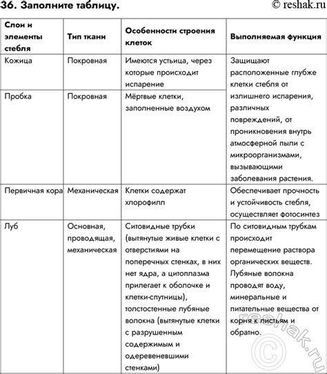 Специальные вопросы и их особенности