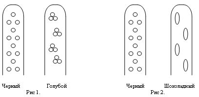 Специальные термины и их значение