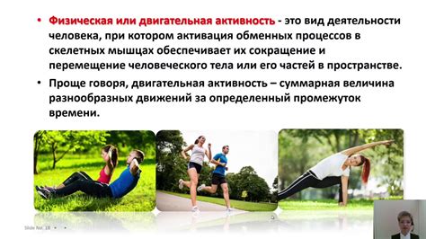 Спорт и физическая активность в моей повседневности