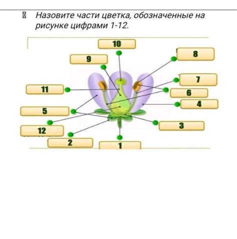 Способы анализа цифры 1 на рисунке