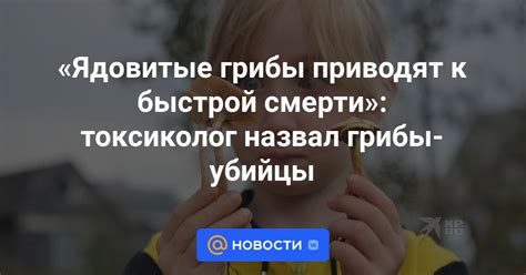 Способы быстрой проверки: выберите лучшее решение