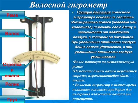 Способы определения влажности муки дома