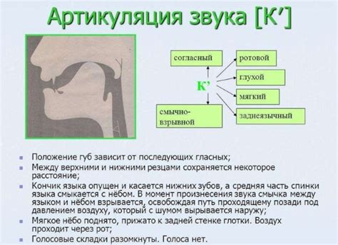 Способы подсчета звуков