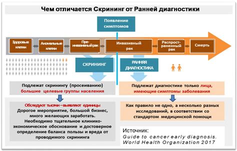 Способы правильной уборки и подготовки щавеля