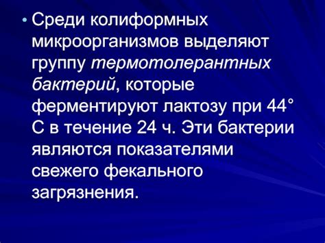 Способы предотвращения и уничтожения термотолерантных колиформных бактерий