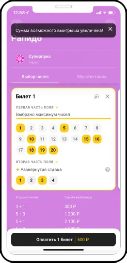 Способы проверки выигрыша в Рапидо