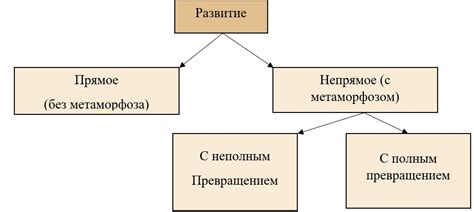 Способы развития гягунца