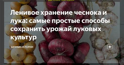 Способы сохранить целостность чеснока