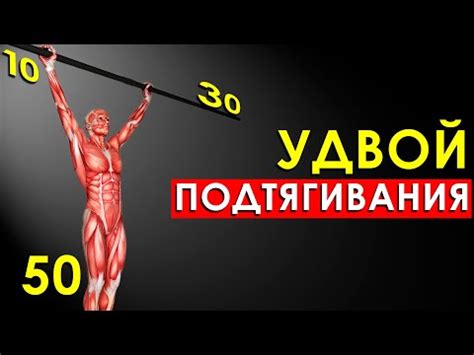 Способы увеличить количество подтягиваний