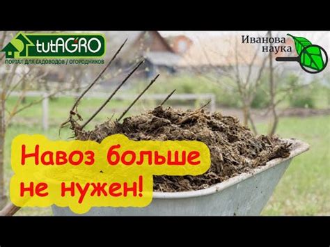 Способы улучшения дренирования почвы для повышения плодородия