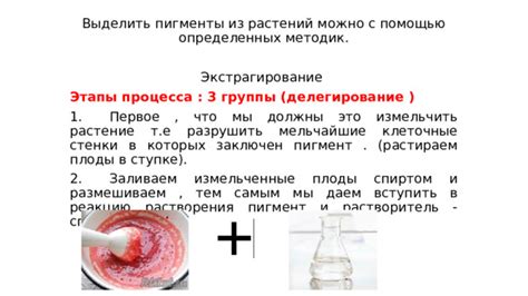 Способ №3: Ручной экстрагирование сока с помощью картофелемялки