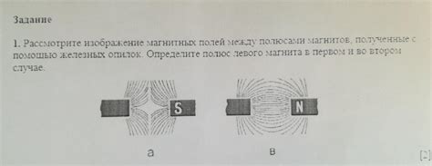 Способ 1: Проверка с помощью магнита