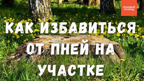 Способ 1: Физическое удаление пней