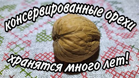 Способ 3: Замораживание орехов лещины