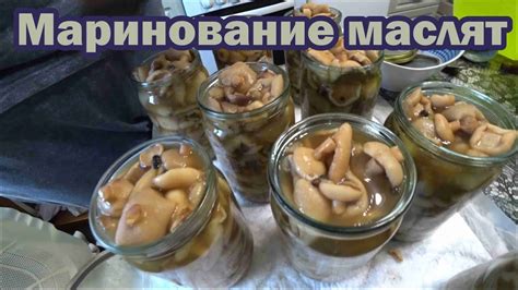 Способ 5: Маринование маслят