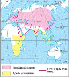 Способ 6: Избегание проникновения жира на ЛДСП