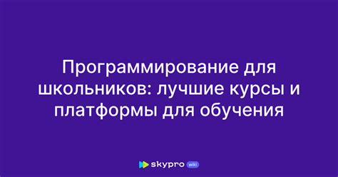 Справочные курсы и платформы