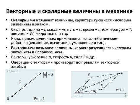 Сравнение векторных и скалярных величин