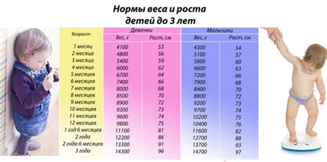 Сравнение веса и роста