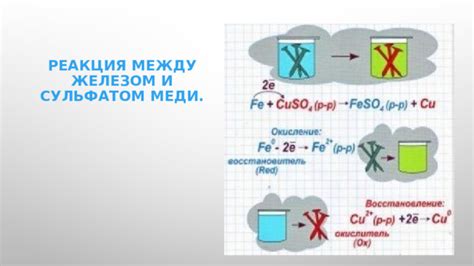 Сравнение между железом 2 и 3 валентным