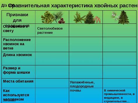 Сравнение состава: Что общего и в чем различие?