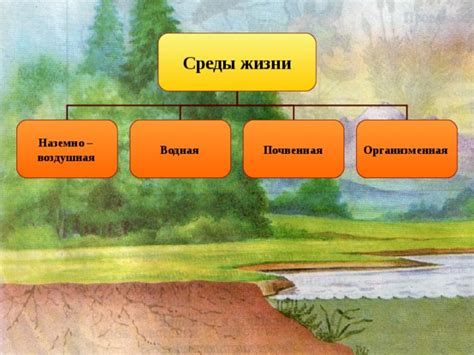 Среда обитания живой изгороди