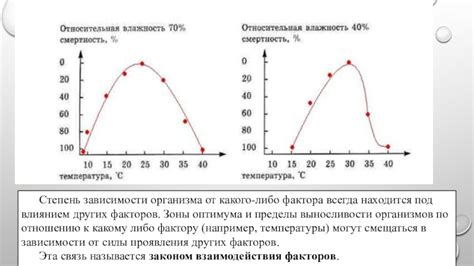 Средняя степень выносливости организма: границы и значимость