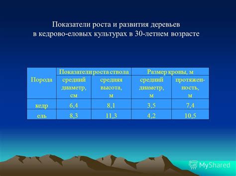 Сроки и особенности роста кедра сибирского