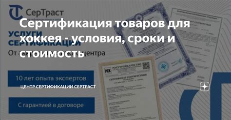 Сроки и условия получения новых документов