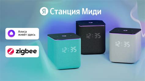 Станция Алиса без Wi-Fi: подробная настройка