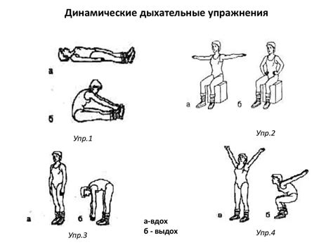 Статические и динамические упражнения