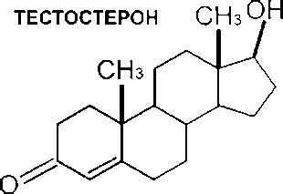 Стероиды: определение и основные типы