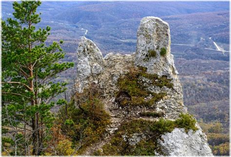 Стоимость чертового пальца на современном рынке