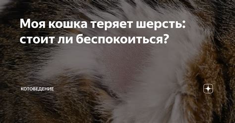 Стоит ли беспокоиться?