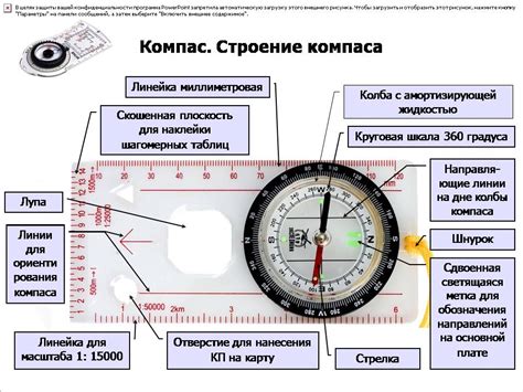 Строение и функции компаса