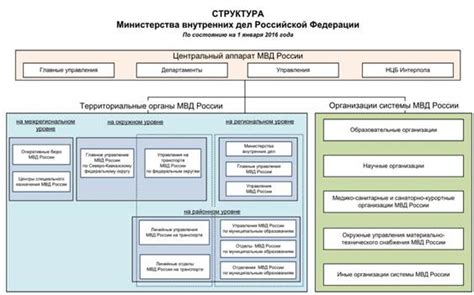 Структура ГИБДД на Малаховке